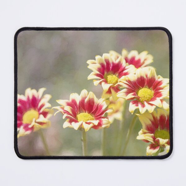 Item preview, Chrysanthemums In The Garden designed and sold by Tanya C Smith.