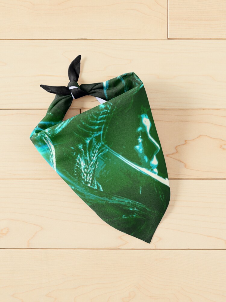 Bandanas ripley best sale