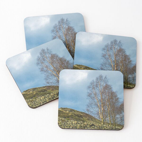 Item preview, Silver Birch at Watendlath Lake District designed and sold by Cameranick.