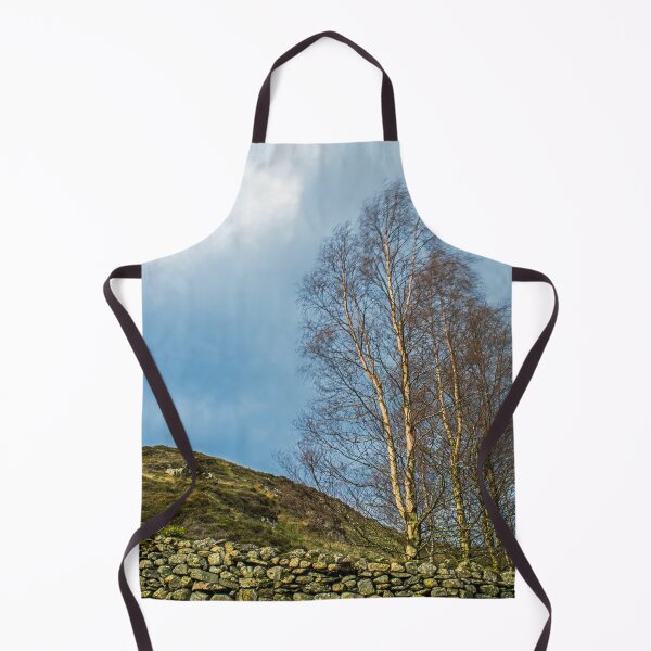 Item preview, Silver Birch at Watendlath Lake District designed and sold by Cameranick.