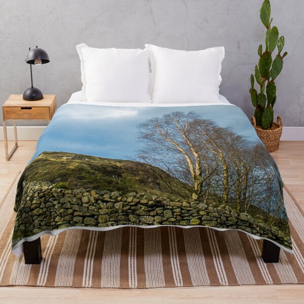 Item preview, Silver Birch at Watendlath Lake District designed and sold by Cameranick.