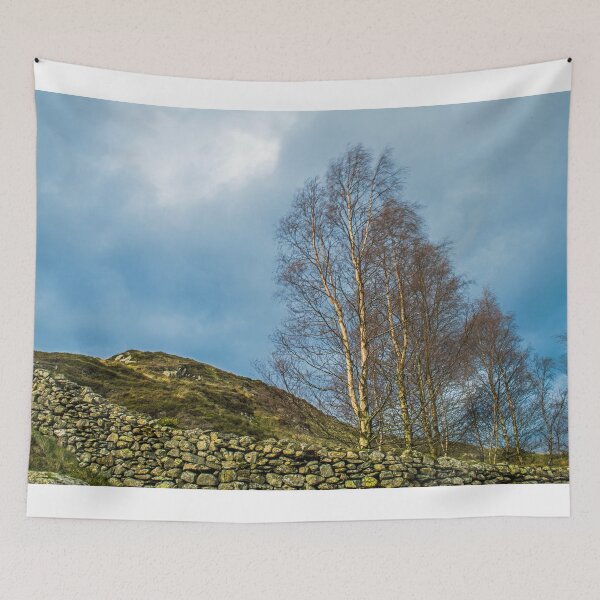 Item preview, Silver Birch at Watendlath Lake District designed and sold by Cameranick.