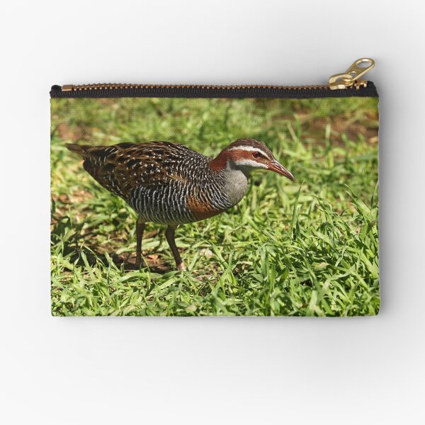 Buff-banded Rail - Lara VIC (720) Zipper Pouch