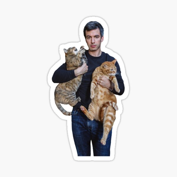 Vista previa del artículo con la obra «Nathan Fielder y sus gatos», diseñado y vendido por RatRunnersd.