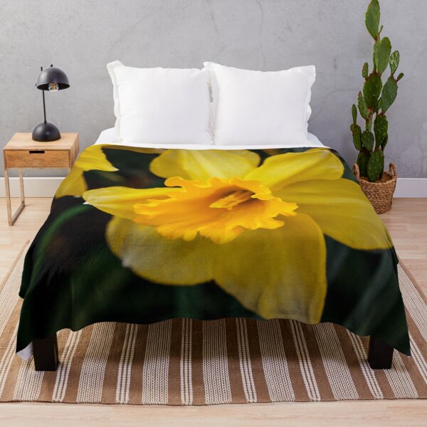 Item preview, Yellow daffodil blooming in a garden designed and sold by Michael Deemer.
