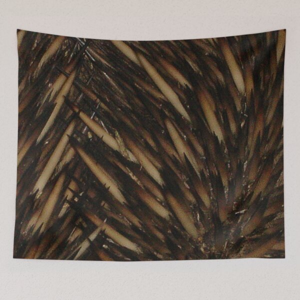 Item preview, Echidna (spiny anteater) designed and sold by Bronwyn Blair.