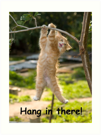 Hang in There Cat Poster - Perfect Funny Motivational Poster For ...