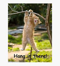 Hang in There Cat Poster - Perfect Funny Motivational Poster For Home or Office - Humorous Decor, Funny Quote Photographic Print
