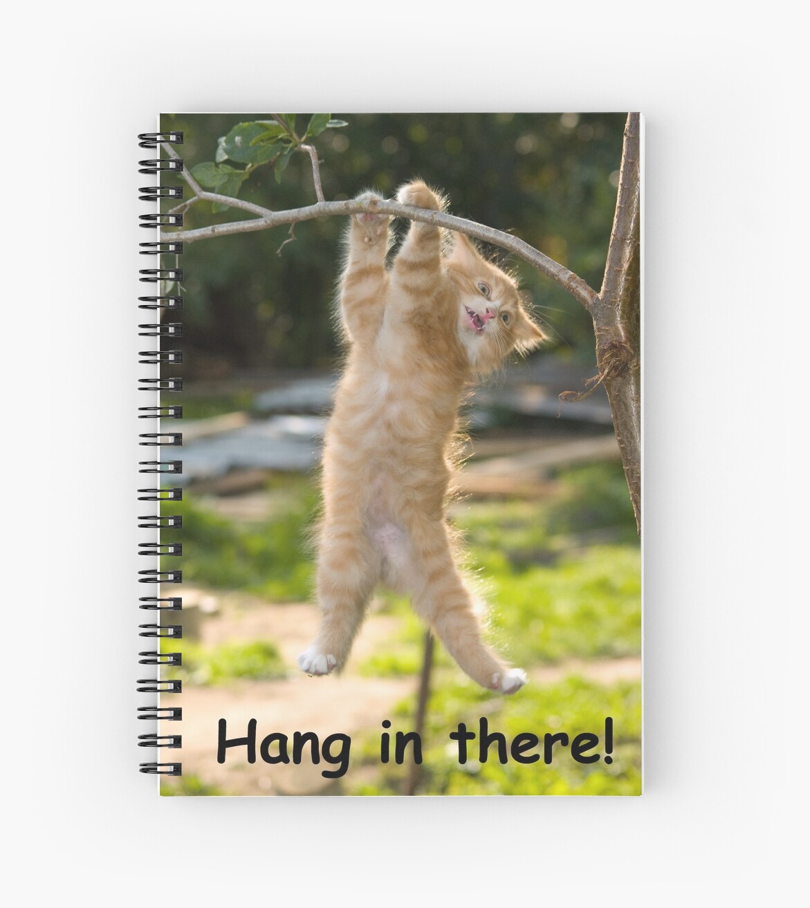 Humor Sphere Funny is Contagious! Humor Sphere Funny is Contagious!