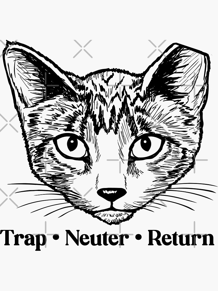 Trap - Neuter - Retun (TNR) - Ferral Cats