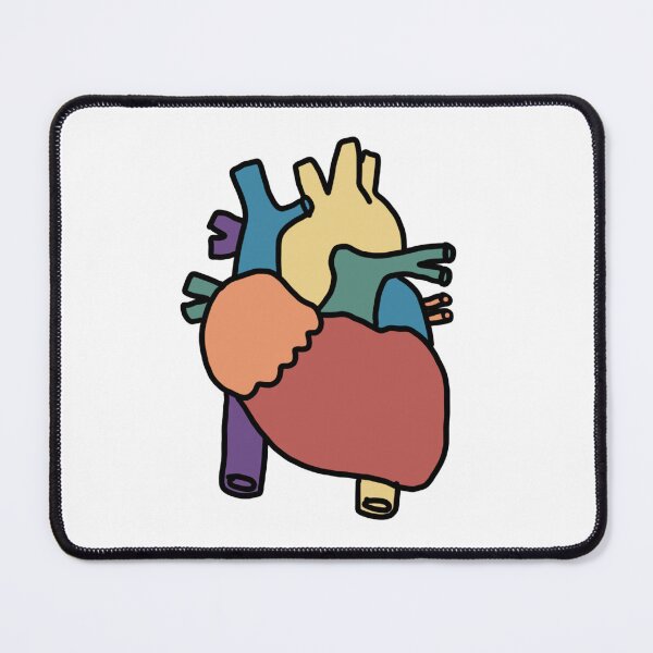 Item preview, Colorful anatomical heart designed and sold by marnilauren.