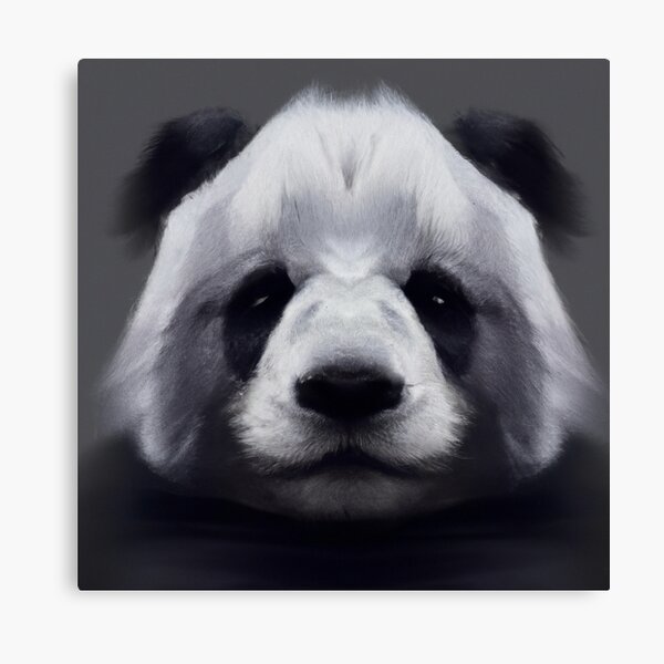 LEXAHO Jolie couverture panda - Impression de dessin animé - Noir