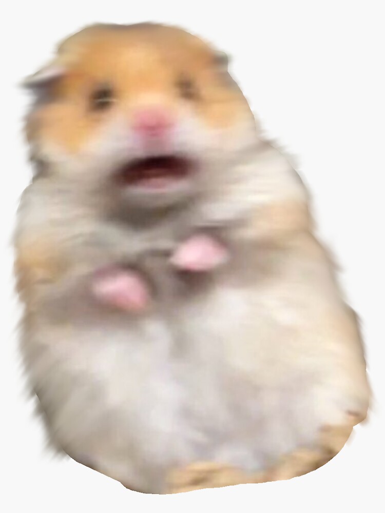 "Scared hamster meme" Sticker for Sale by TCBtea Redbubble