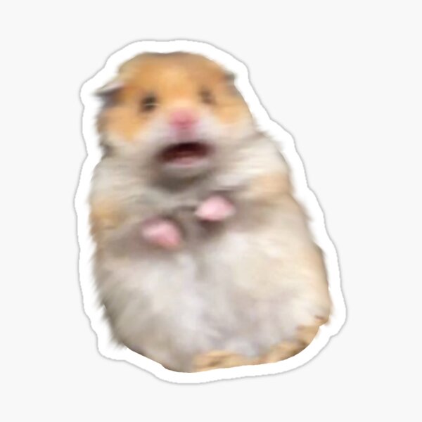 "Scared hamster meme" Sticker for Sale by TCBtea | Redbubble