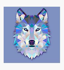 Wolf Animals Gift Photographic Print