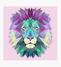 Lion Animals Gift Photographic Print