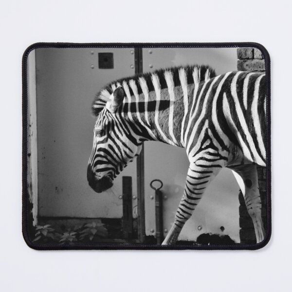 Item preview, zebra abstract black and white stripes  designed and sold by cheekylorns.