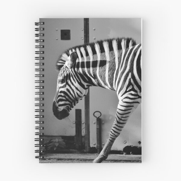 Item preview, zebra abstract black and white stripes  designed and sold by cheekylorns.