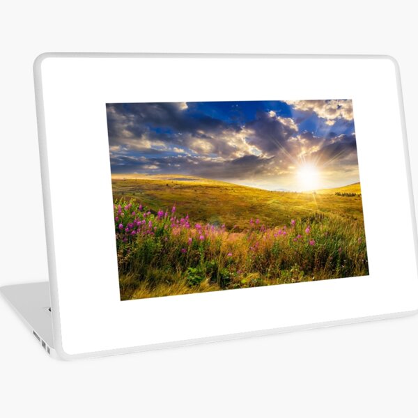 wild flowers on the mountain top at sunset Laptop Skin