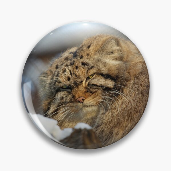 Item preview, George the Pallas's cat is trying to have a nap on a tree designed and sold by Manulization.
