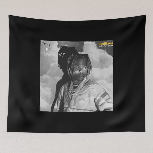 Item preview, ckay poster designed and sold by careyv40.