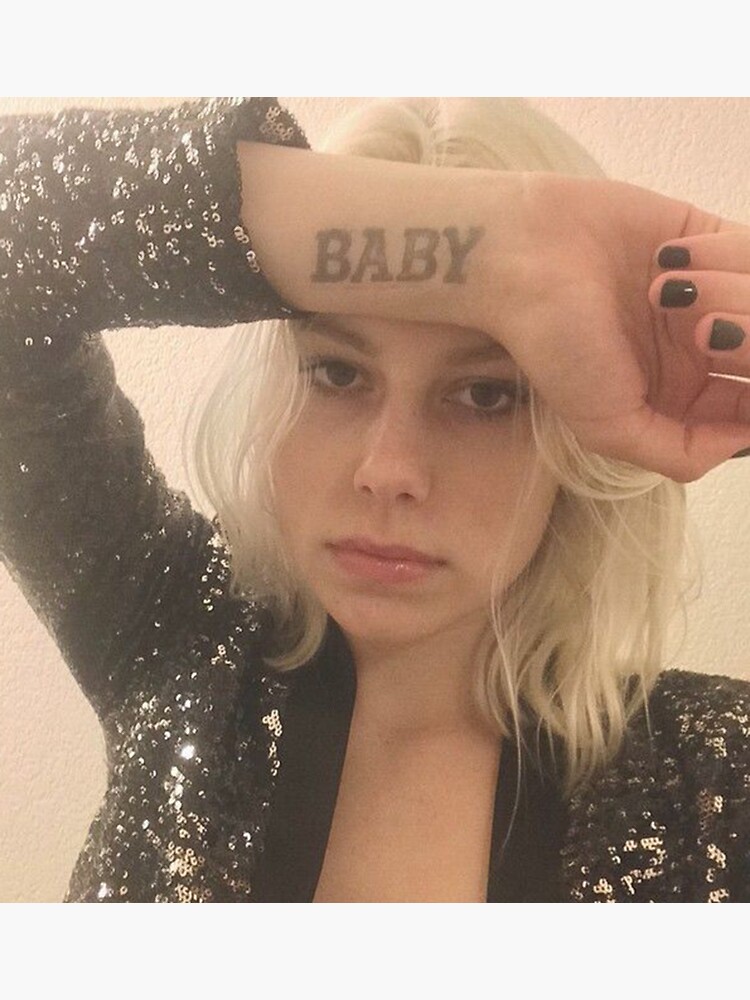 "Phoebe Bridgers Album" Sticker for Sale by Damianbg Redbubble