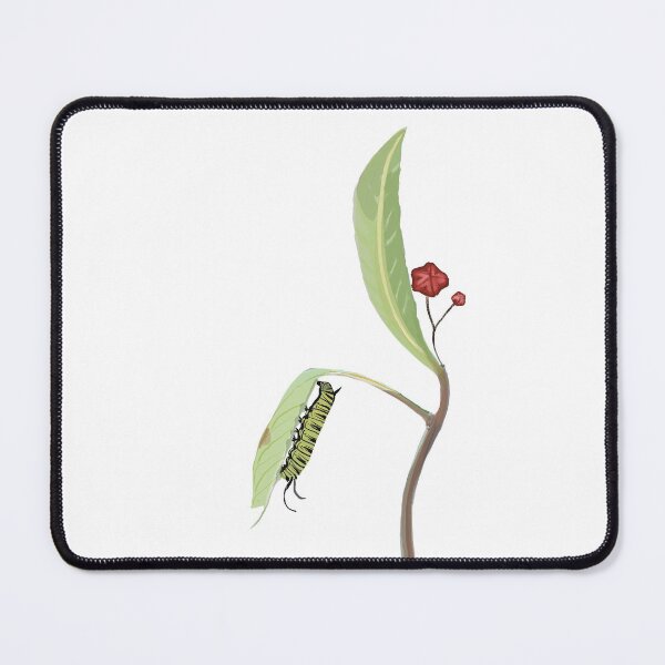 Item preview, Butterfly weed designed and sold by coloringbookfac.