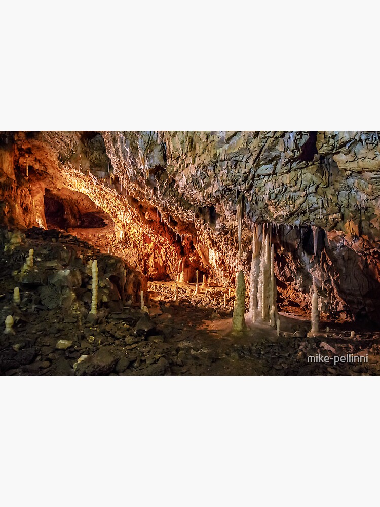 Ursus spelaeus cave in romanian mountains transilvania by mike-pellinni