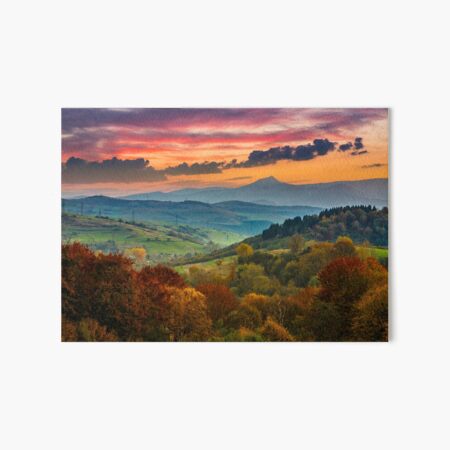 autumn forest on a mountain hill at sunset Art Board Print