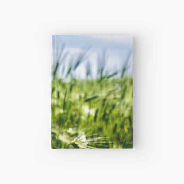red poppy in the wheat field Hardcover Journal