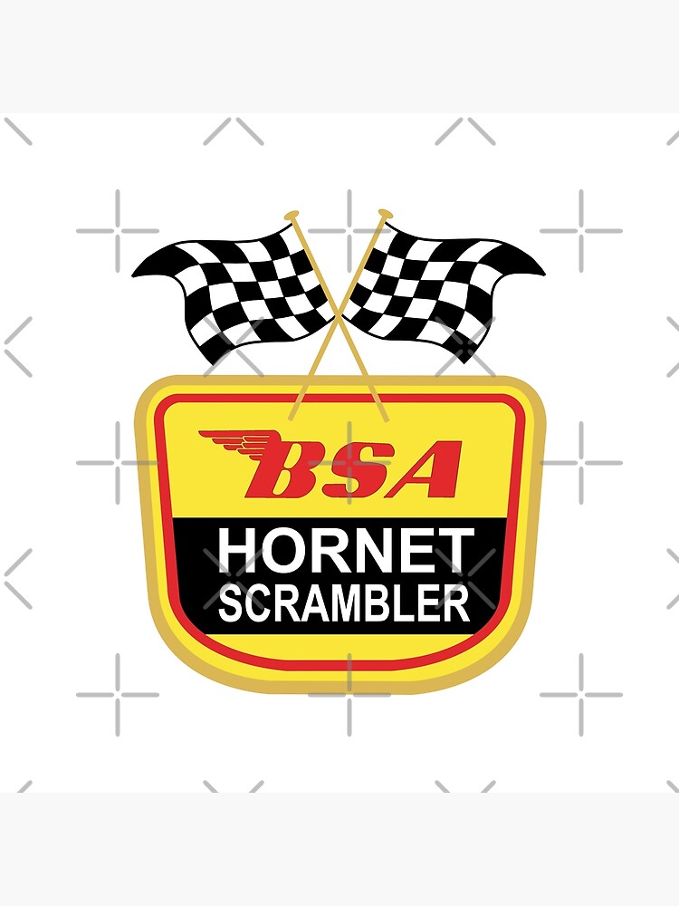 bsa hornet scrambler