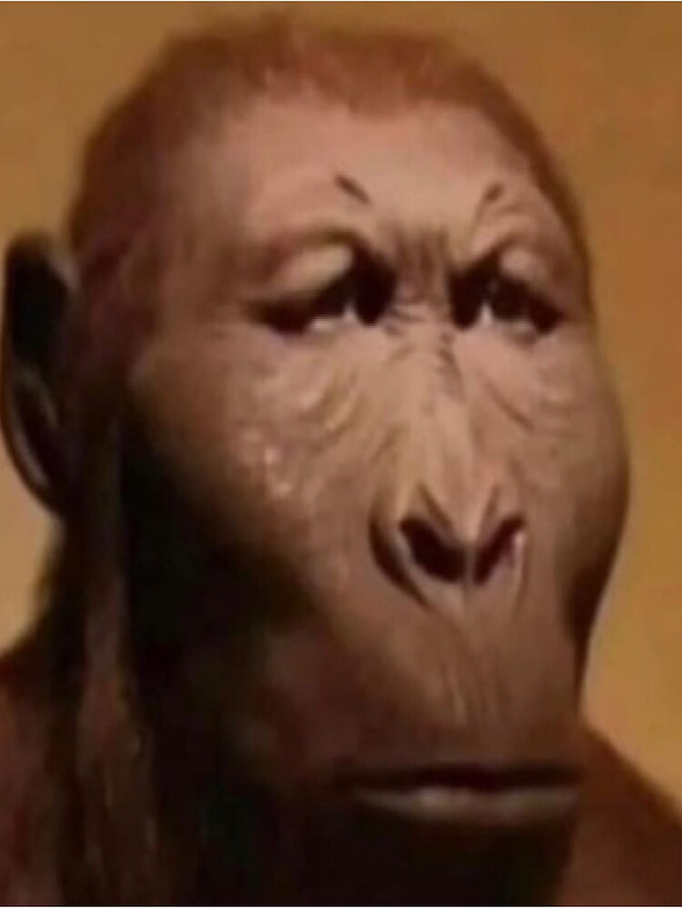 Imagen de producto 3