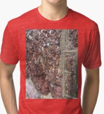 Sea Wall Torquay Tri-blend T-Shirt