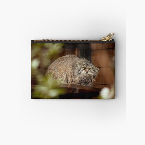 Item preview, Namika the Pallas's cat is observing designed and sold by Manulization.