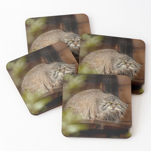 Item preview, Namika the Pallas's cat is observing designed and sold by Manulization.