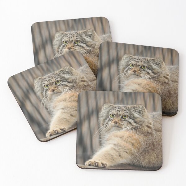 Item preview, Eve the Pallas's cat is stretching designed and sold by Manulization.