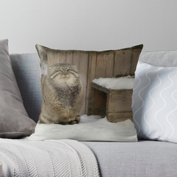 Big Cata Decorative Pillow