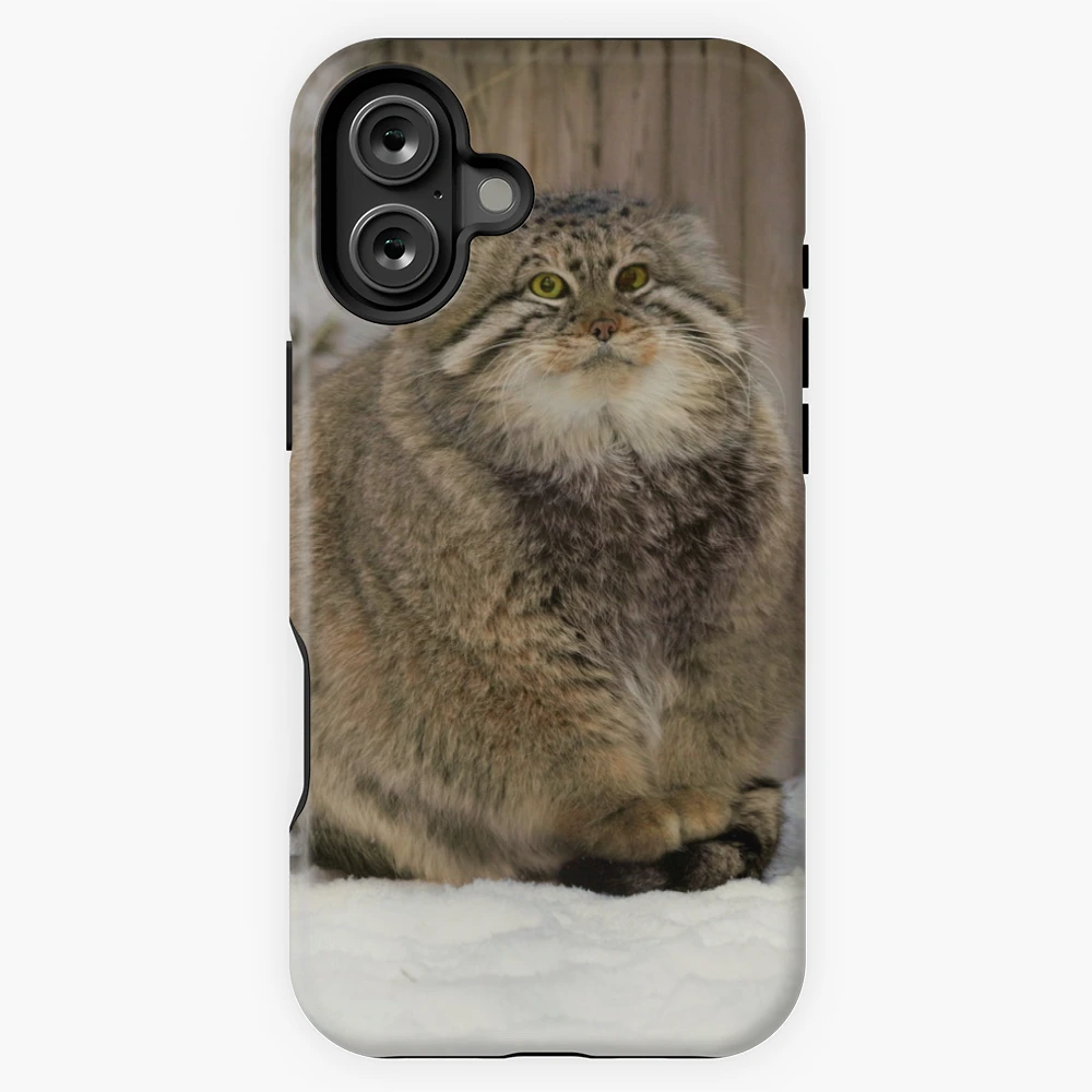 Society6 iPhone4/4S,5用 SEA BEAUTY by Catspaws 51gqVrlQJ0L._UF894,1000_QL80_.jpg