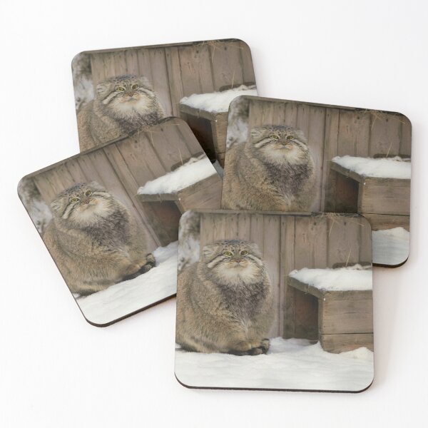 Item preview, Zelenogorsk the Pallas's cat is warming his paws on a tail designed and sold by Manulization.