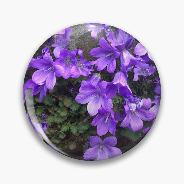 Item preview, Siberian Bellflower on Garden Wall designed and sold by Violaman.