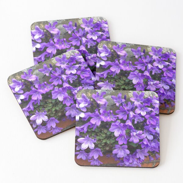 Item preview, Siberian Bellflower on Garden Wall designed and sold by Violaman.