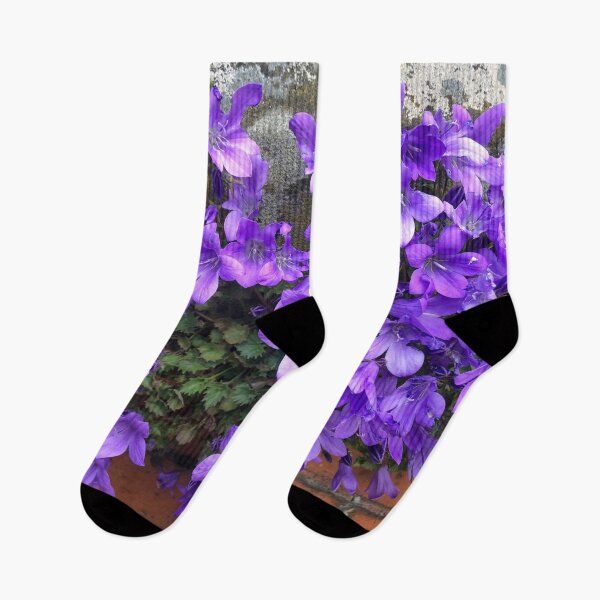 Item preview, Siberian Bellflower on Garden Wall designed and sold by Violaman.