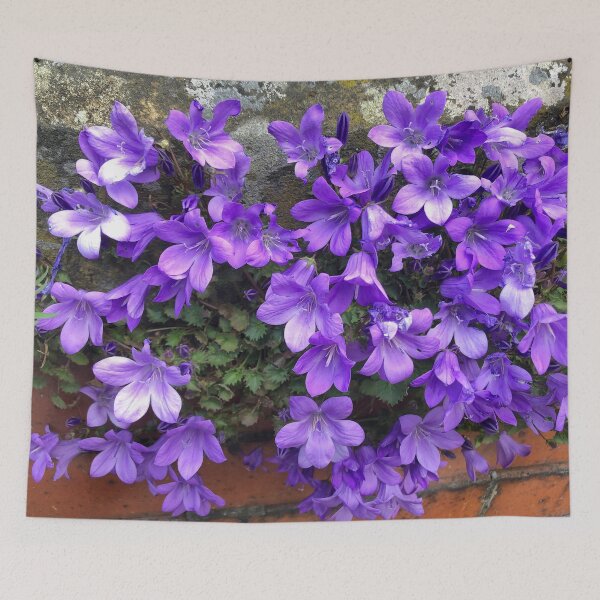 Item preview, Siberian Bellflower on Garden Wall designed and sold by Violaman.