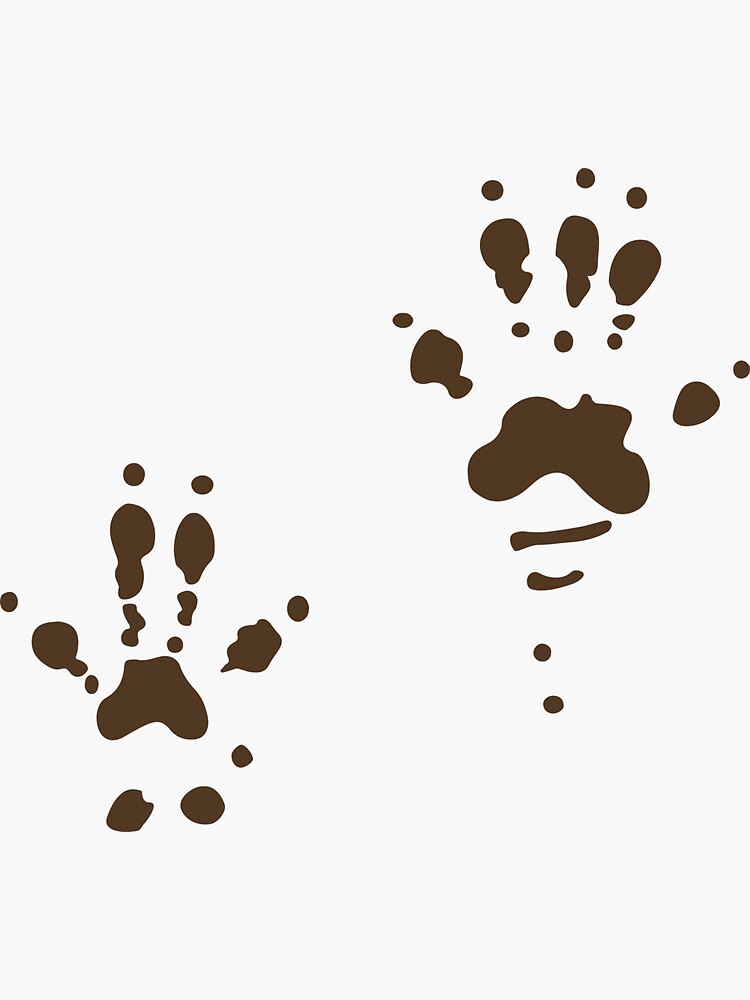“Chipmunk paw prints” Sticker by EresseaYesta | Redbubble