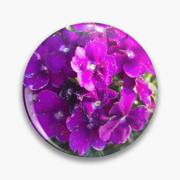 Item preview, Lovely purple verbena flowers in the golden hour  designed and sold by FlowersAndMore.