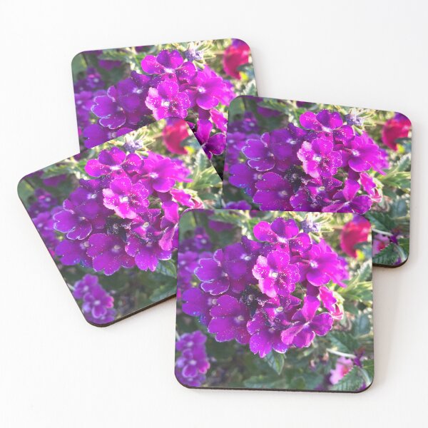 Item preview, Lovely purple verbena flowers in the golden hour  designed and sold by FlowersAndMore.