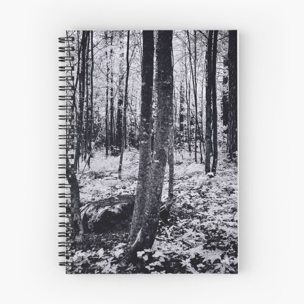 Item preview, Black and white fairy forest designed and sold by Jouko Lehto Photography.