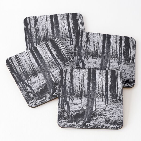 Item preview, Black and white fairy forest designed and sold by Jouko Lehto Photography.