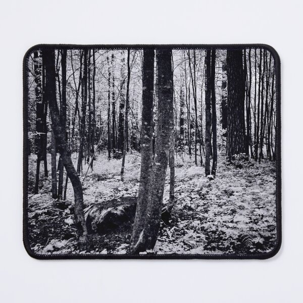 Item preview, Black and white fairy forest designed and sold by Jouko Lehto Photography.