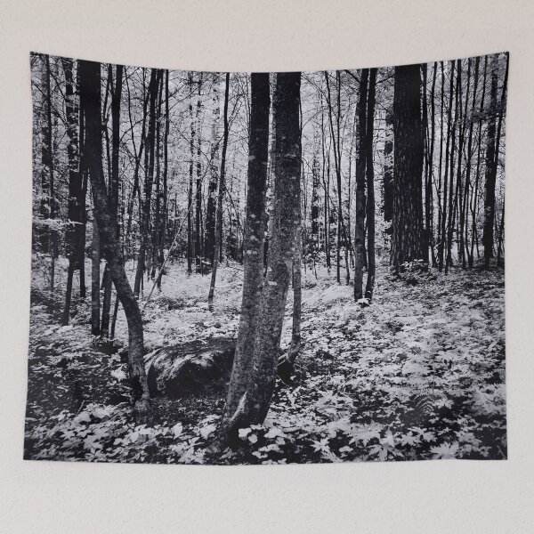 Item preview, Black and white fairy forest designed and sold by Jouko Lehto Photography.